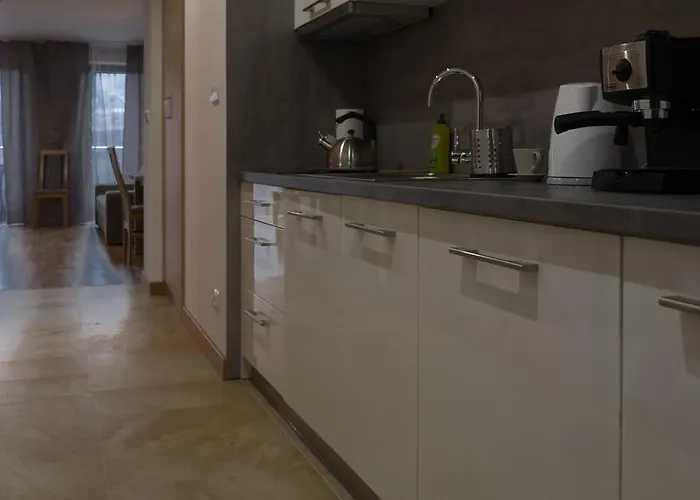 Wislany Sen Apartment *