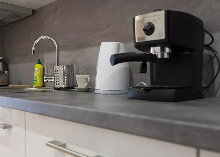 Apartment Wislany Sen