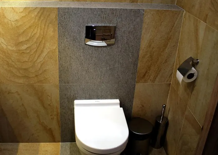 Apartment Wislany Sen *